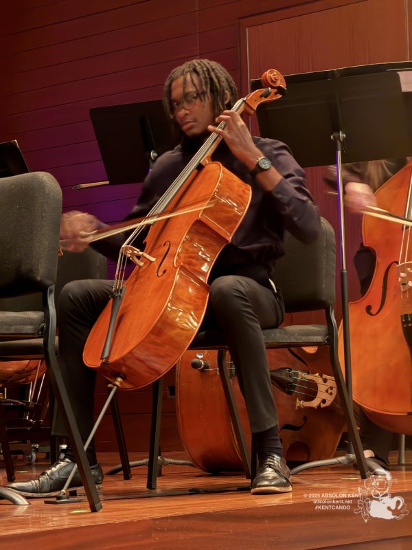 JMU Chamber Orchestra Presents “Light and Shadow” 